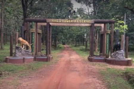 Kali Tiger Reserve - Ganesh Cabs